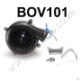 BOV101